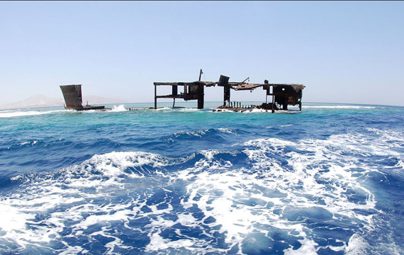 Где в Египте заняться подводным плаванием?