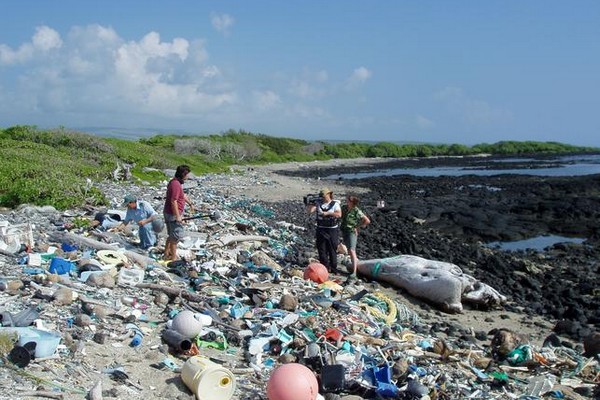 Мусорные острова – экологическая проблема океанов