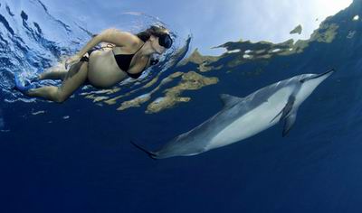 Беременные привлекают дельфинов