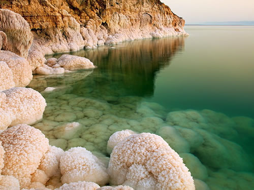 В Мертвом море обнаружена жизнь