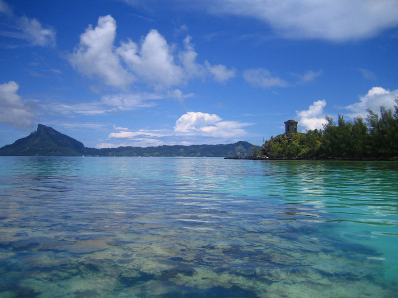 Дайвинг во Французской Полинезии